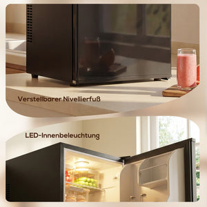 Mini Kühlschrank klein mit Thermostat 44L schwarz