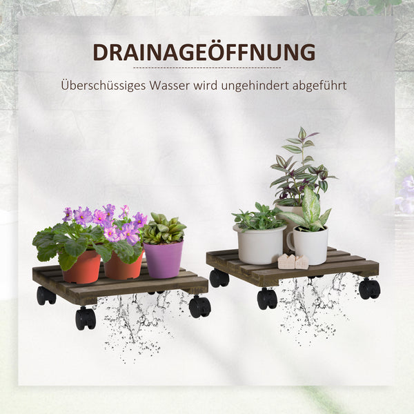 Pflanzenroller 2er-Set mit Bremsen für Pflanzen Dunkelbraun