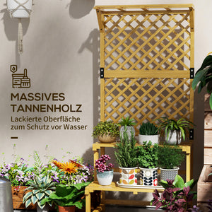 Pflanzenständer mit Spalier und 2 Etagen für Blumen Holz