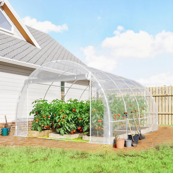 Polytunnel Gewächshaus begehbar UV-beständig transparent