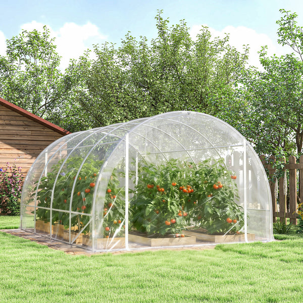 Polytunnel Gewächshaus begehbar UV-beständig transparent