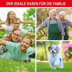 Rasensamen 1kg Premium Grassamen
