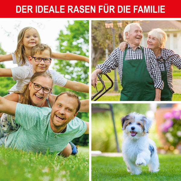 Rasensamen 1kg Premium Grassamen