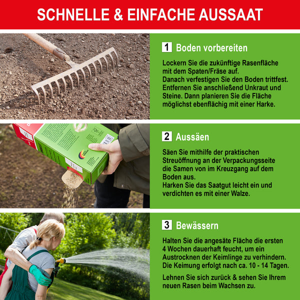 Rasensamen 1kg Premium Grassamen