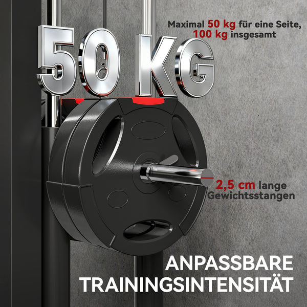Rudermaschine Fitnessgerät wandmontiert für Heimtraining schwarz