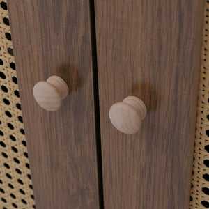 Sideboard Kommode Türen Anrichte Poly-Rattanfront 80x160x40cm braun