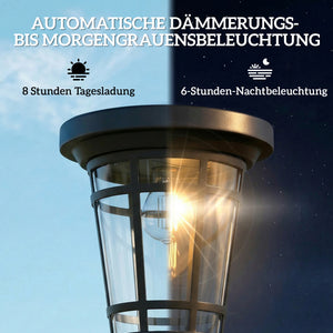 Solar Stehleuchte 2er Set höhenverstellbar mit Lichtsensor IP44