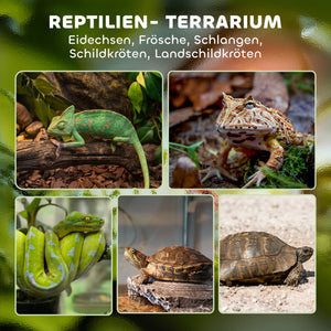 Terrarium für Reptilien mit wasserdichtem Boden und Schloss Glas