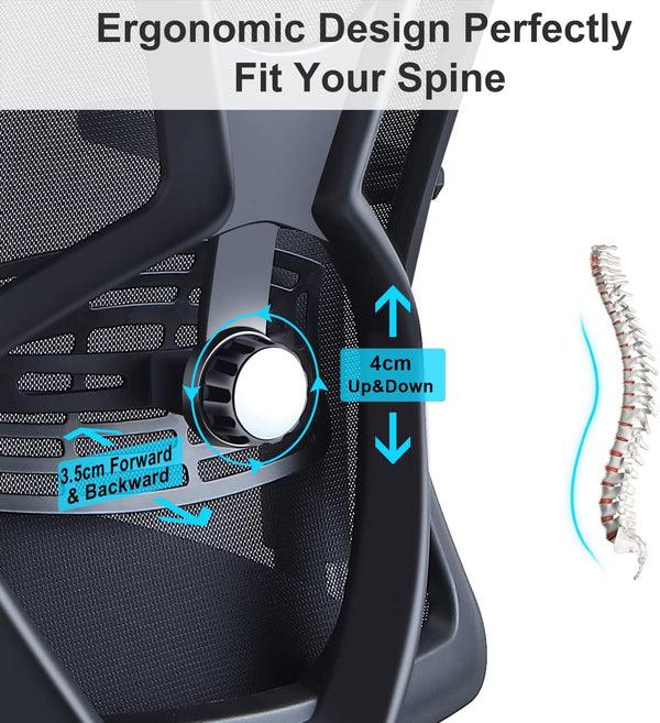 Ticova office chair with lumbar support and headrest