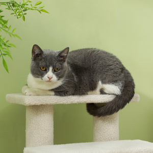 Tiertreppe mit 4 Stufen Beige