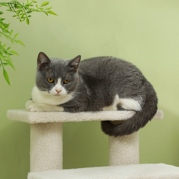 Tiertreppe mit 4 Stufen Beige