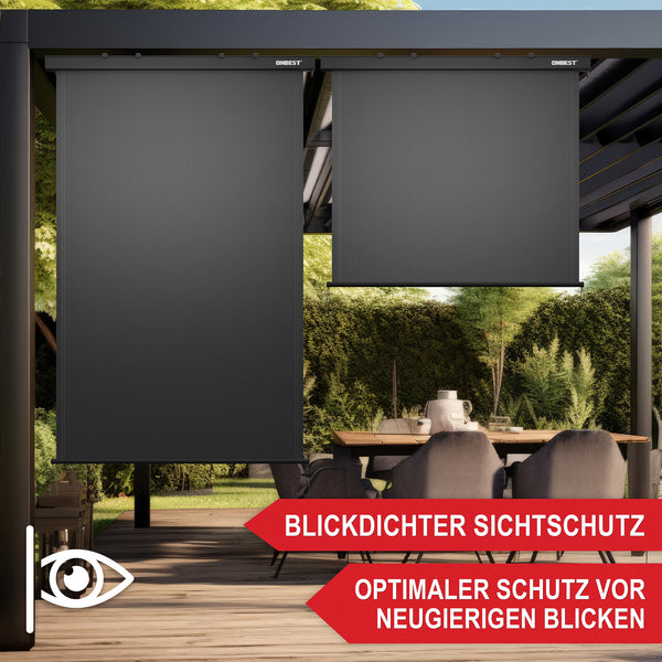 Vertikalmarkise 250x160cm Sonnenstore senkrecht