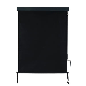 Vertikalmarkise Sichtschutz Rollo UV-Schutz 250x100cm schwarz