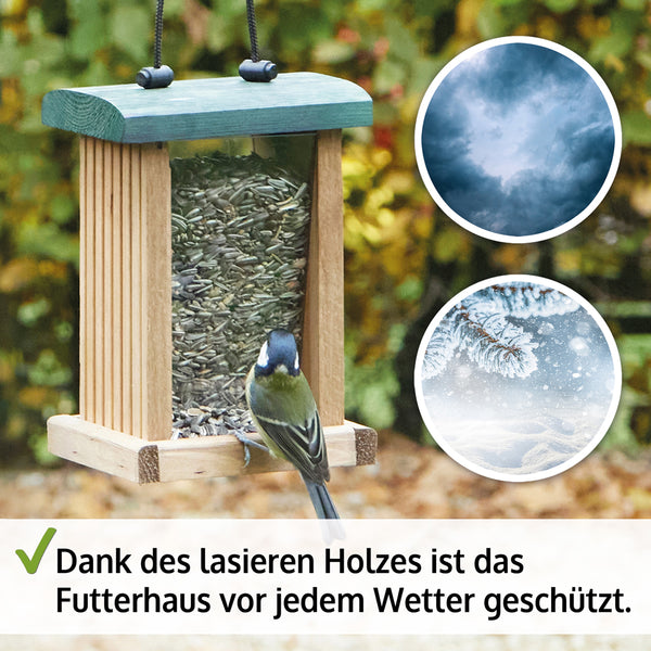 Vogelfutterhaus Grünspitz mit Plexiglasscheiben & Aufhängung