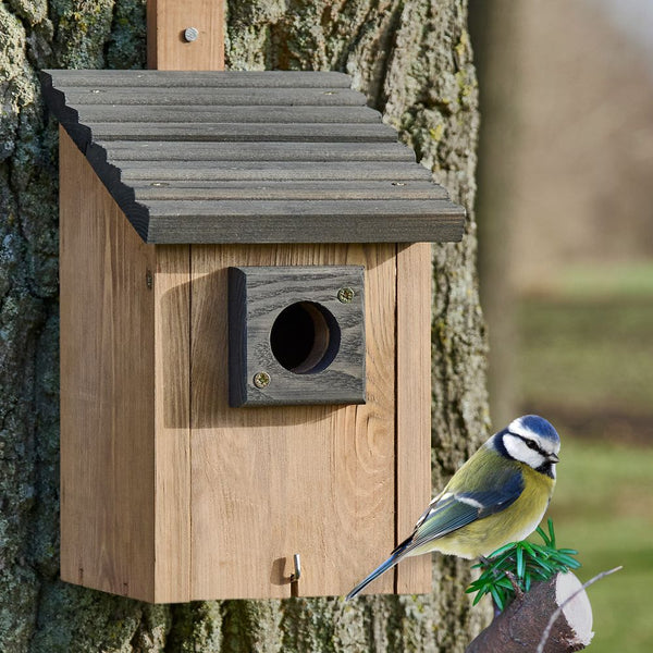 Vogelhaus Nistkasten NaturNest Pultdach – wetterfest & robust für Wildvögel