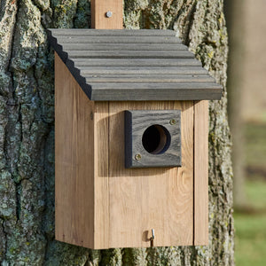 Vogelhaus Nistkasten NaturNest Pultdach – wetterfest & robust für Wildvögel