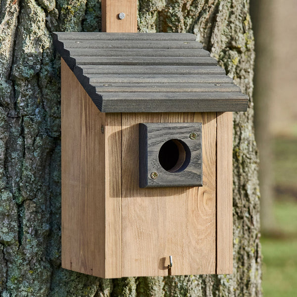 Vogelhaus Nistkasten NaturNest Pultdach – wetterfest & robust für Wildvögel