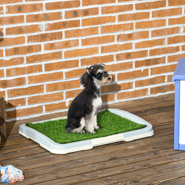 Welpentoilette Kunstgras 63x48cm für Indoor & Outdoor Blau