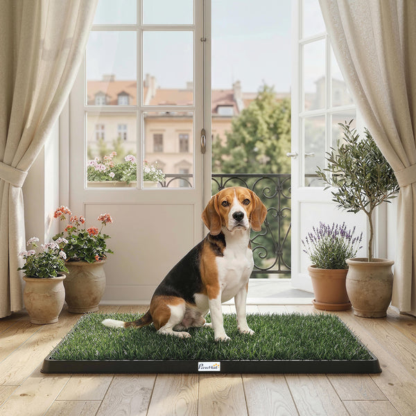 Welpentoilette Hundetoilette waschbar mit Kunstrasen für Balkon und Zuhause