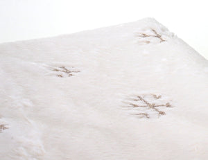 Wohndecke Tagesdecke Kuscheldecke flauschig Pailletten 150x120cm weiss