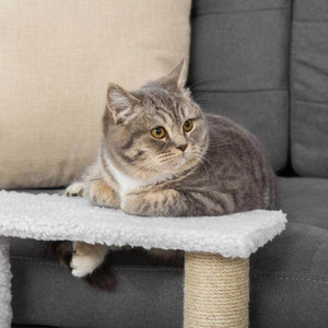 Haustiertreppe Ball 3-stufige Katzentreppe Hundetreppe Tiertreppe Weiss