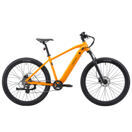 E-Bike Mountainbike 29" AVALANCHE gelb