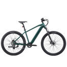 E-Bike Mountainbike 29" AVALANCHE grün