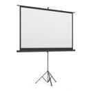 Leinwand Beamer mit Stativ 226 x 130 cm