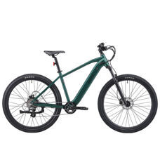 E-Bike Mountainbike 29" AVALANCHE grün