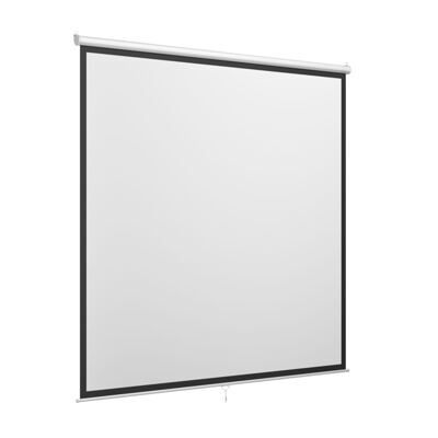 Leinwand Beamer 230 x 230 cm